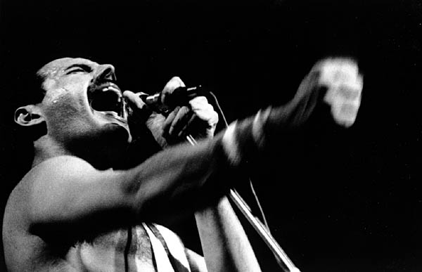 Freddie Mercury (Stone Town, 5 settembre 1946 – Londra, 24 novembre 1991)